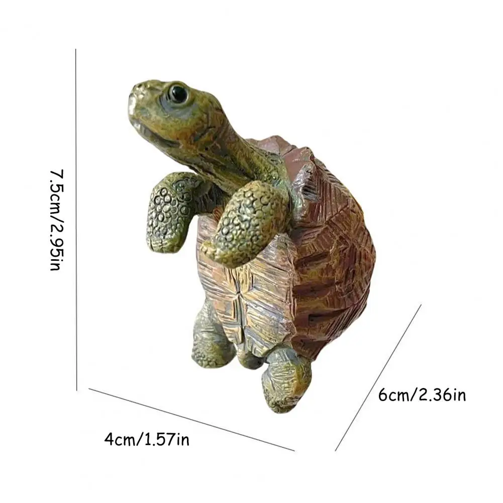 Fishing Turtle Hanging Turtle  - Aquarium Fish Types บทวิจารณ์และราคา