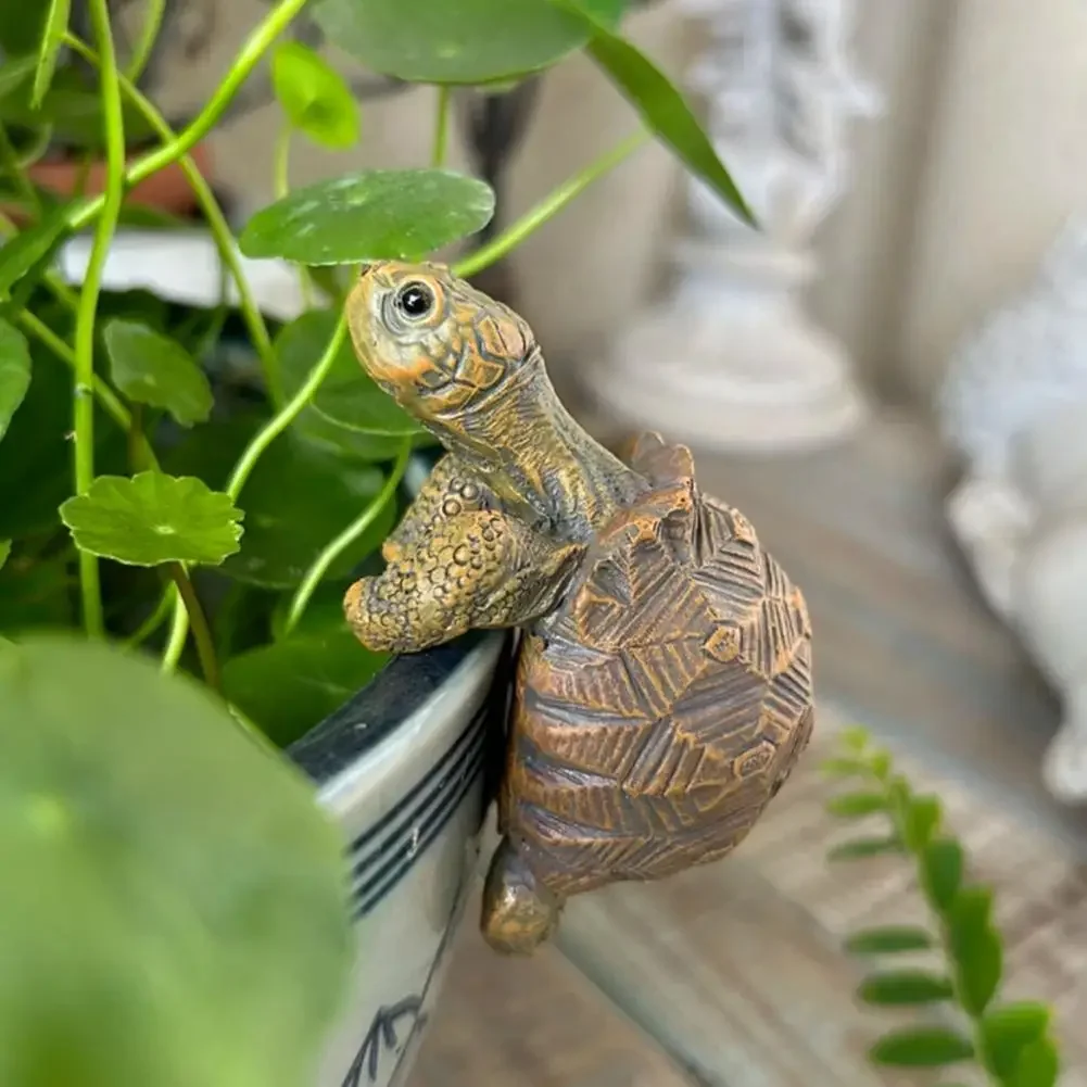 Fishing Turtle Hanging Turtle  - Aquarium Fish Types บทวิจารณ์และราคา
