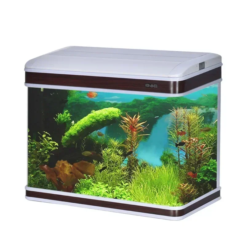 Professional Aquarium Supplier - Aquarium Fish Supplier บทวิจารณ์และราคา