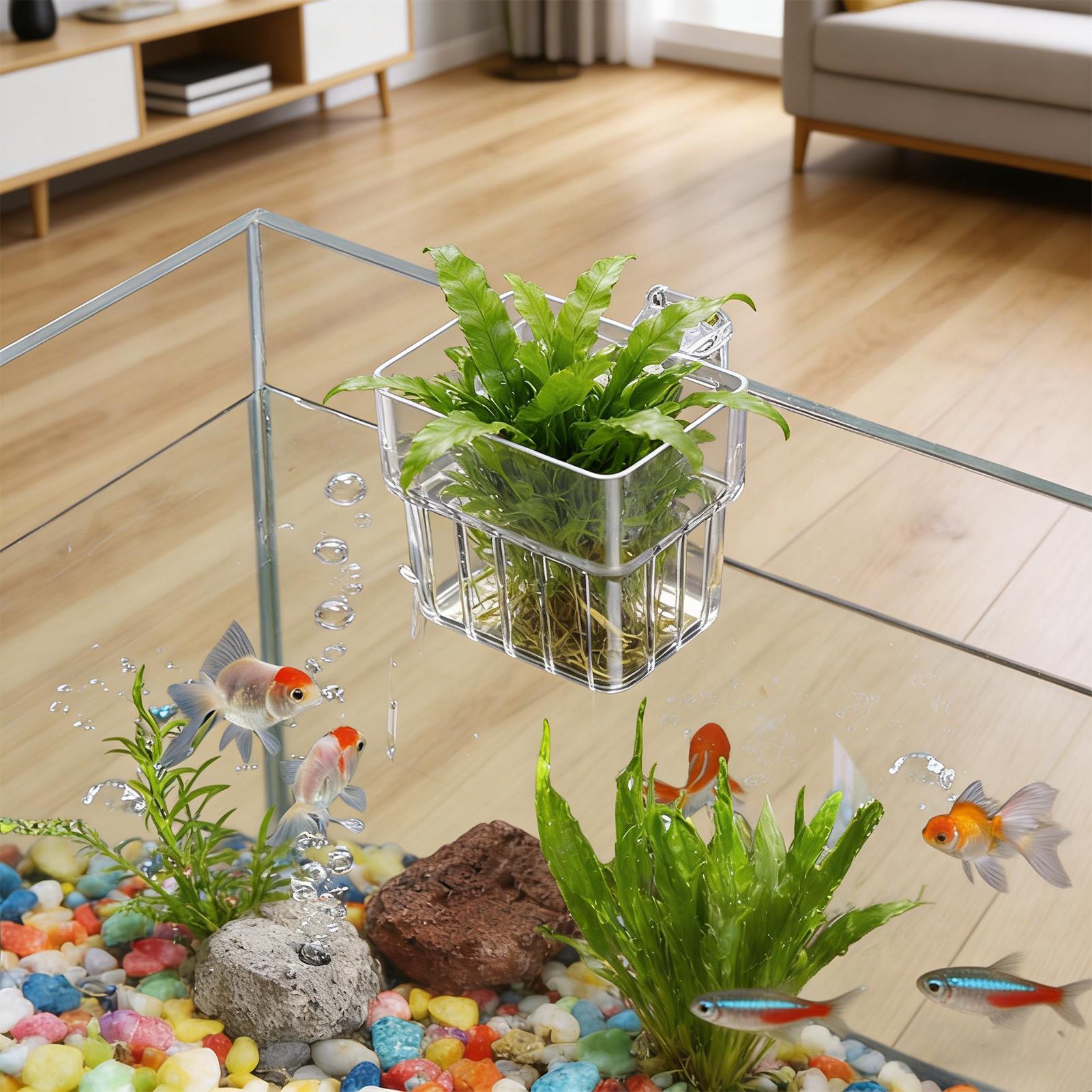 Transparent Hangable Aquarium  - Aquarium Fish Pot บทวิจารณ์และราคา