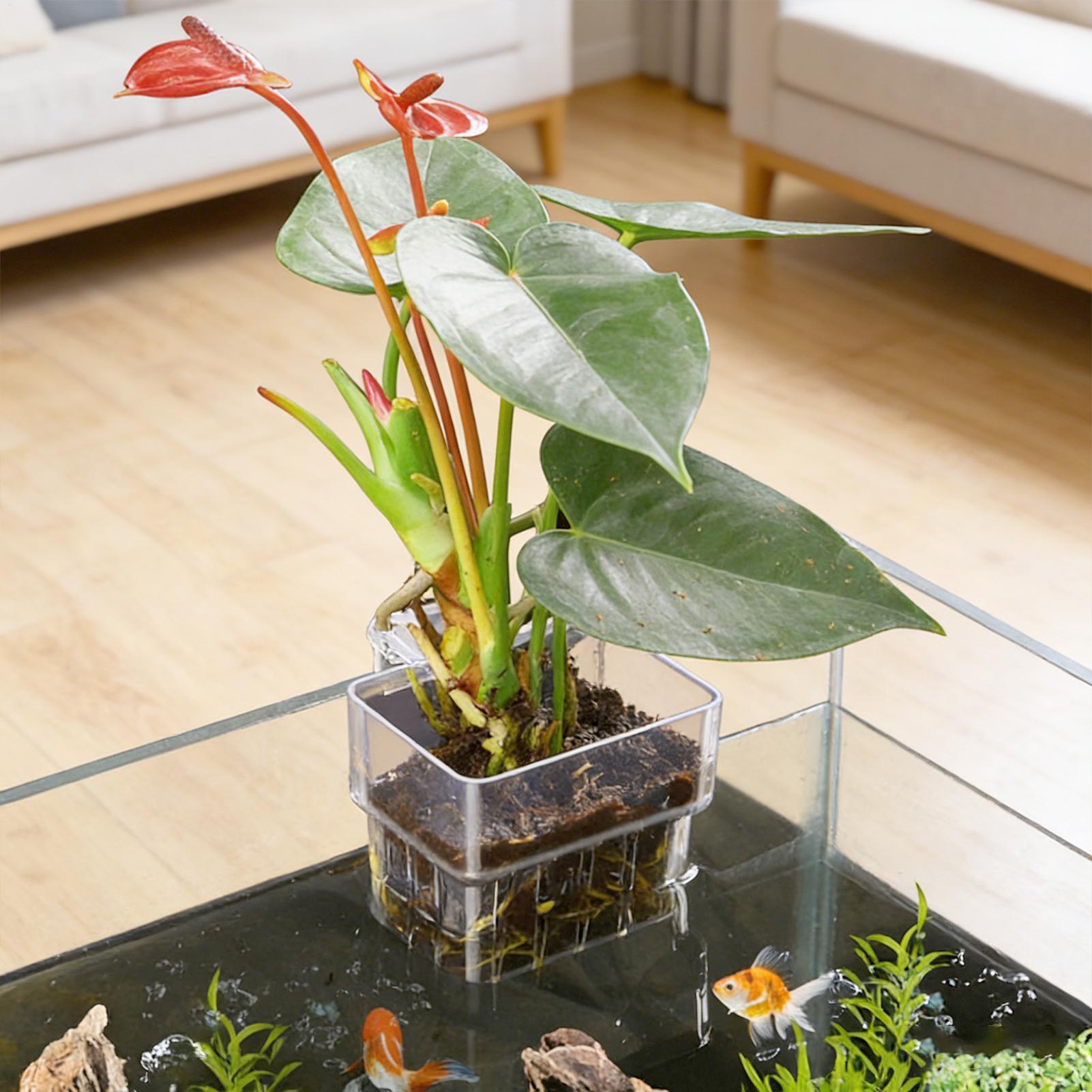 Transparent Hangable Aquarium  - Aquarium Fish Pot บทวิจารณ์และราคา