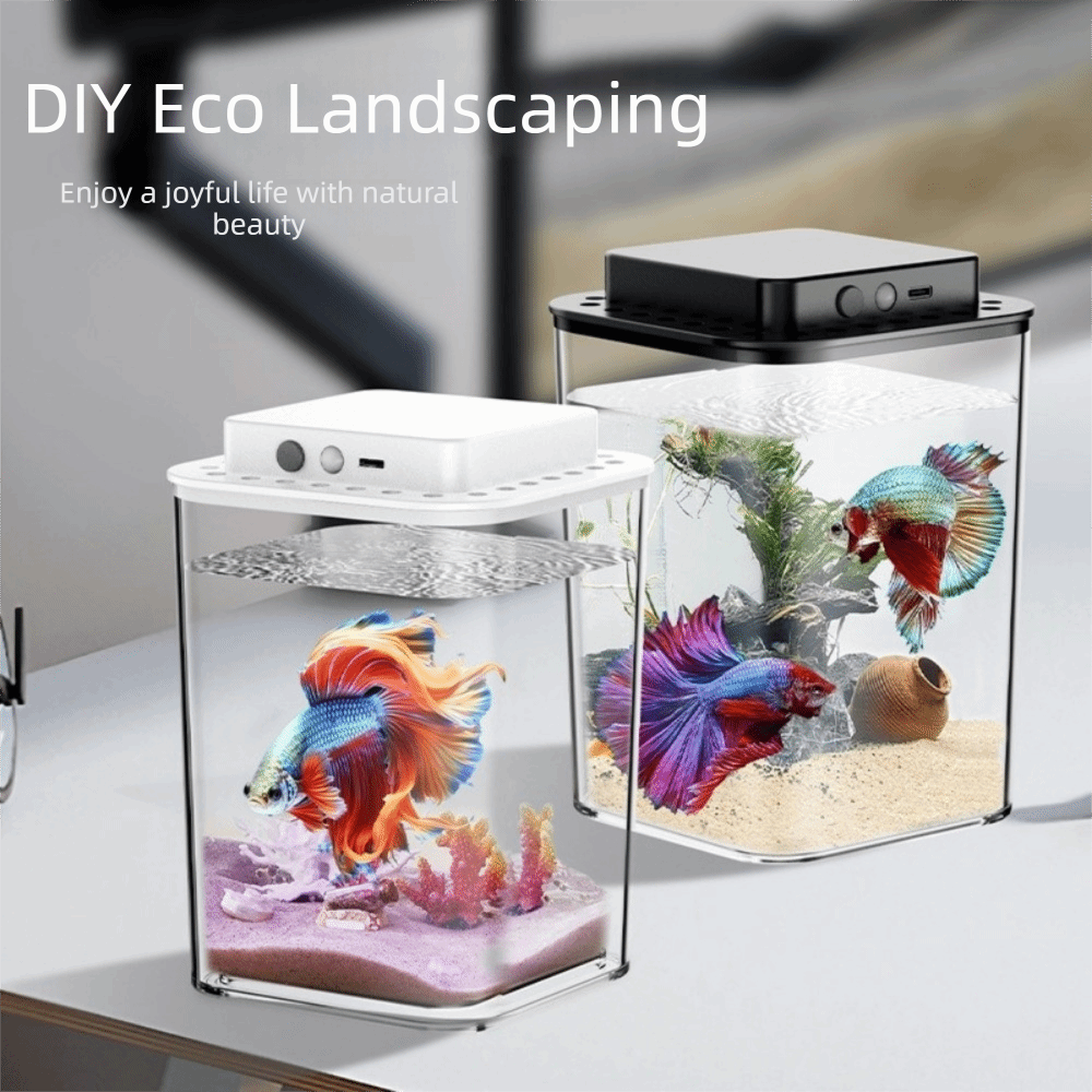 Transparent Betta Fish Tank In - Aquarium Fish Betta บทวิจารณ์และราคา