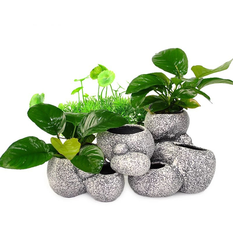 Fish Shrimp Incubation Shelter - Aquarium Fish Pot บทวิจารณ์และราคา