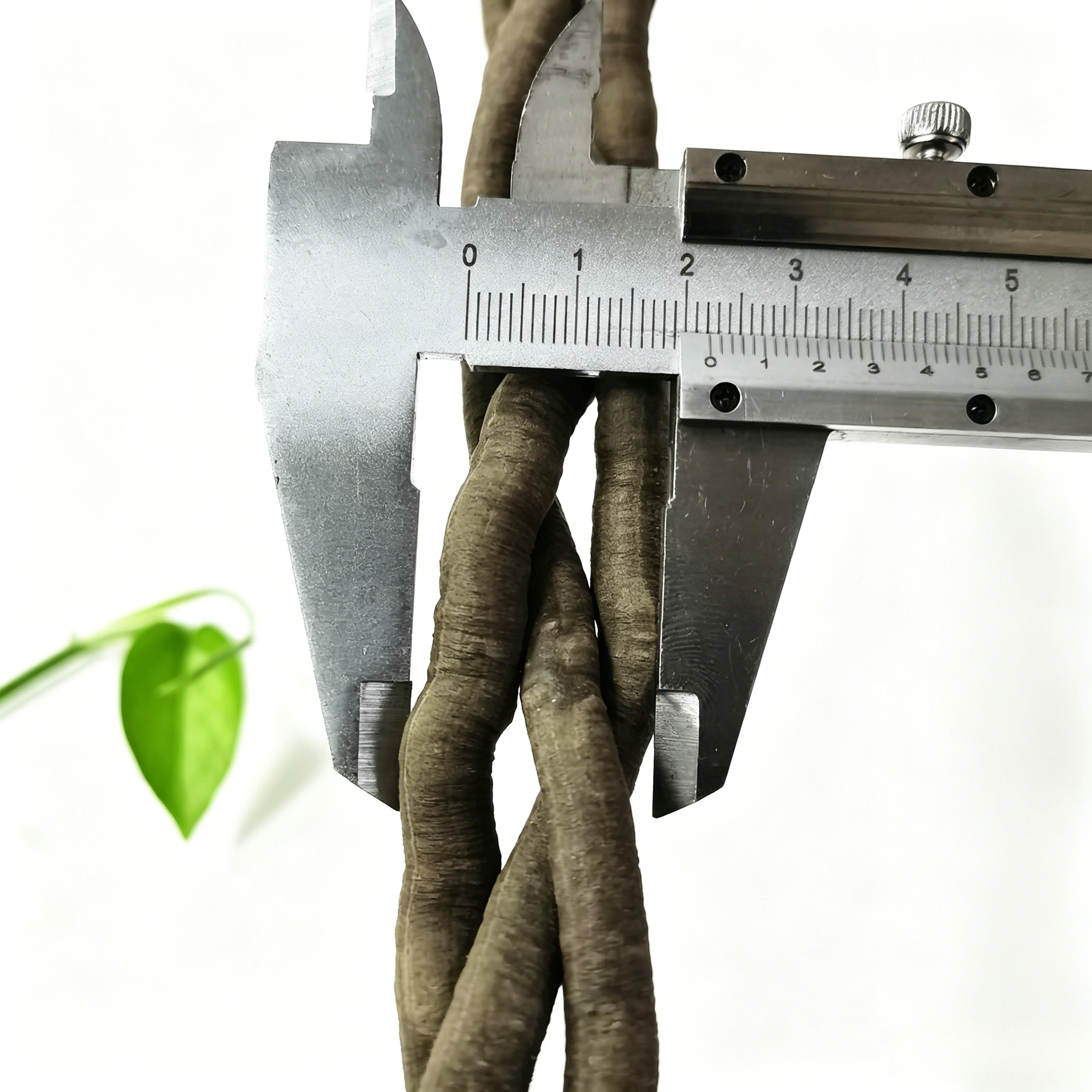 100cm Artificial Vine Fake Pla - Aquarium Fish Types บทวิจารณ์และราคา