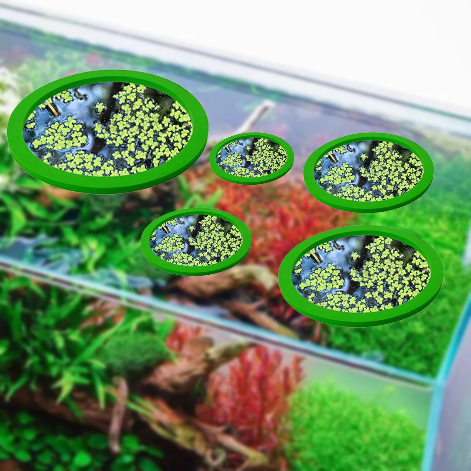 5Pcs EVA Fish Feeding Ring Aqu - Aquarium Fish Types บทวิจารณ์และราคา