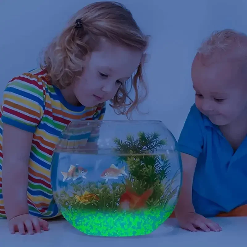 1000pcs 3-5mm Luminous Sand Gl - Aquarium Fish Types บทวิจารณ์และราคา