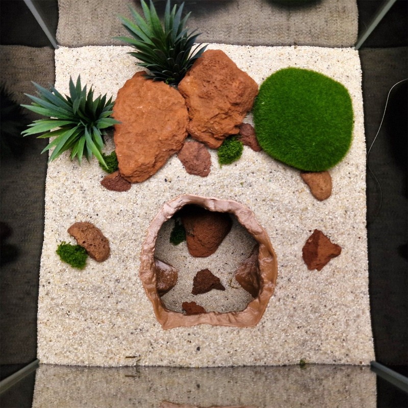 Sinkhole Cave Aquarium Ornamen - Aquarium Fish Hideout บทวิจารณ์และราคา