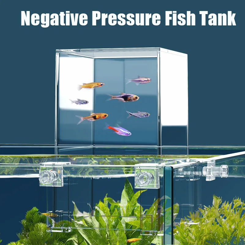 Creative Aquarium Tanks Negati - Aquarium Fish Pot บทวิจารณ์และราคา