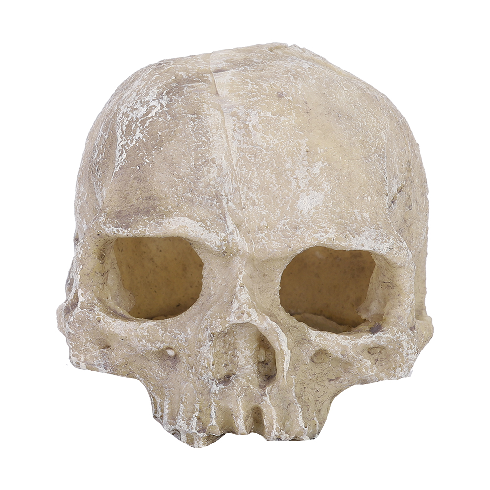 Resin Simulated Head Bone Skul - Aquarium Fish Types บทวิจารณ์และราคา
