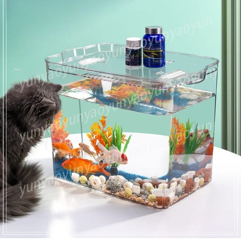 Self Cleaning Aquarium Free Re - Aquarium Fish Supplier บทวิจารณ์และราคา