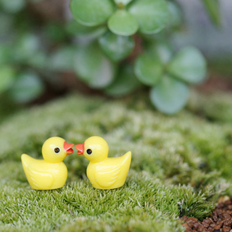 Cute Mini Yellow Duck Floating - Aquarium Fish Yellow บทวิจารณ์และราคา