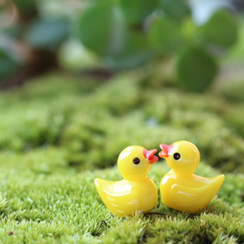 Cute Mini Yellow Duck Floating - Aquarium Fish Yellow บทวิจารณ์และราคา
