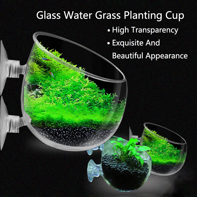 Glass Aquarium Decoration Hang - Aquarium Fish Cartoon บทวิจารณ์และราคา