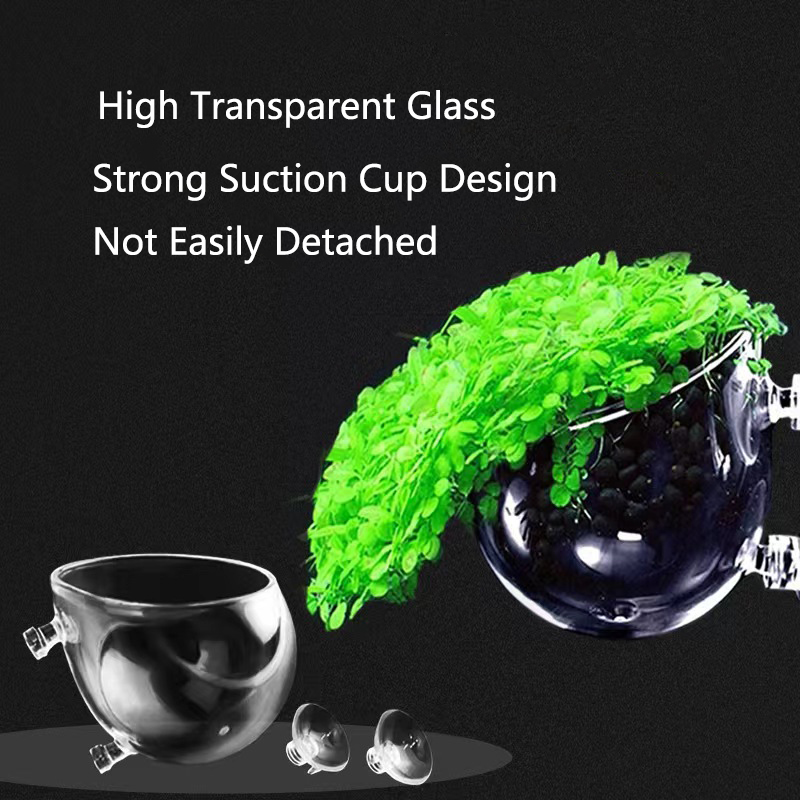 Glass Aquarium Decoration Hang - Aquarium Fish Cartoon บทวิจารณ์และราคา