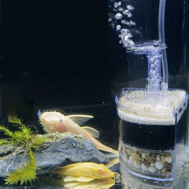 Multi-layer Media Pneumatic Fi - Aquarium Fish Betta บทวิจารณ์และราคา