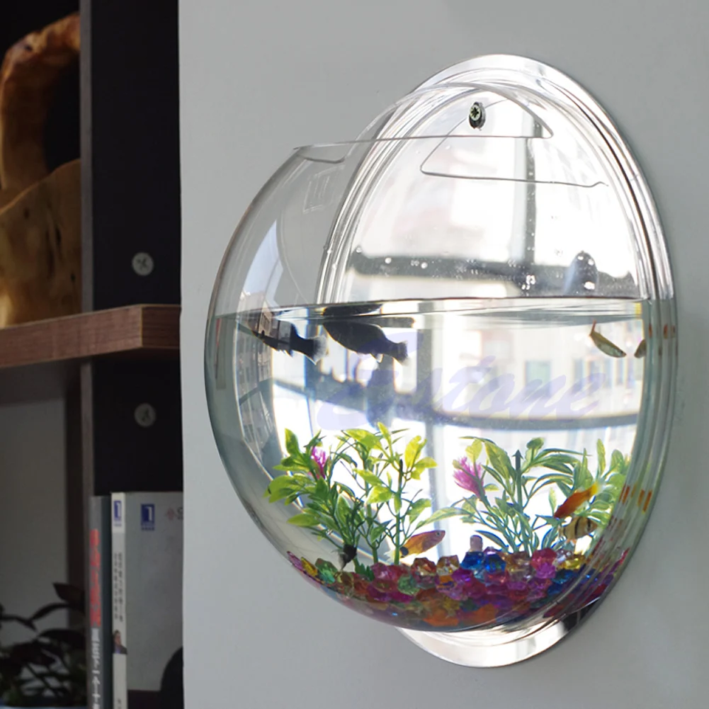 Pot Wall Hanging Mount Bubble  - Aquarium Fish Pot บทวิจารณ์และราคา