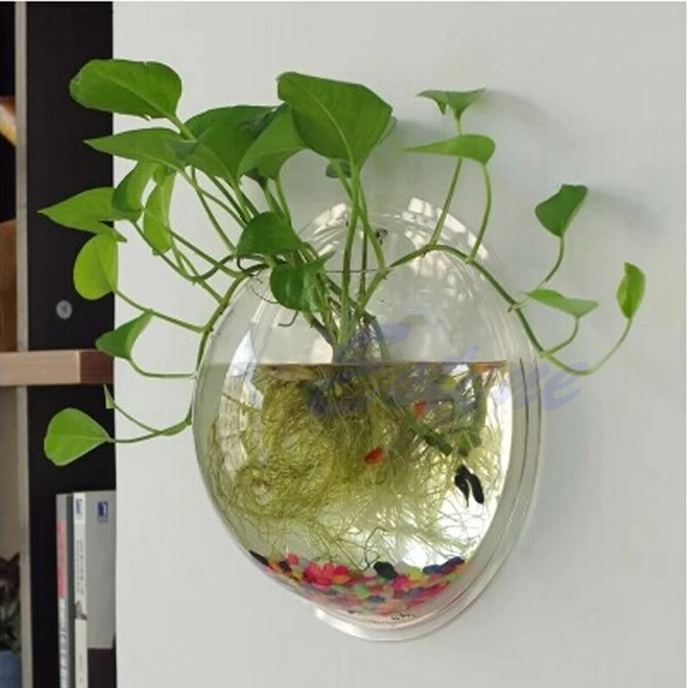 Pot Wall Hanging Mount Bubble  - Aquarium Fish Pot บทวิจารณ์และราคา
