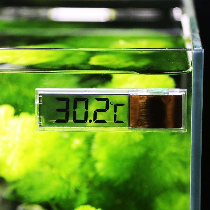 1pc Aquarium Thermometer 3D Di - Aquarium Thermometer บทวิจารณ์และราคา