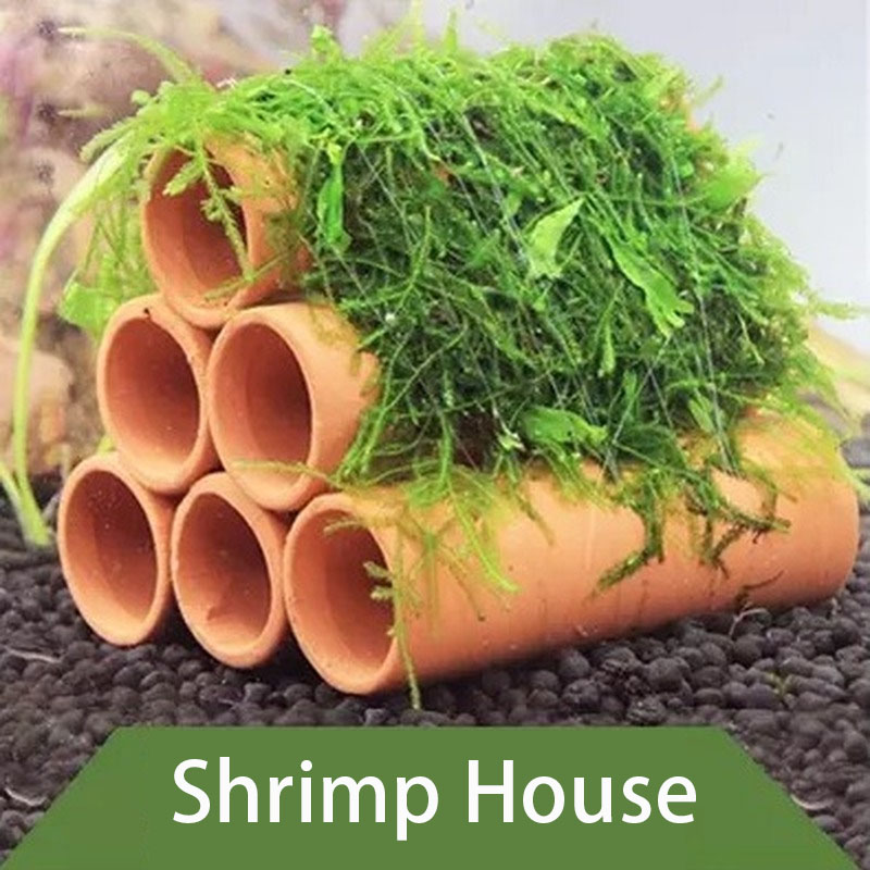 Clay Aquarium Decoration Fish  - Aquarium Fish Hideout บทวิจารณ์และราคา