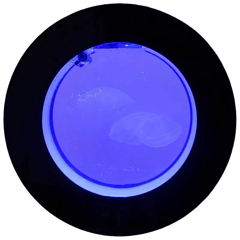 8L/18L/50L Acrylic Jellyfish F - Aquarium Fish Black บทวิจารณ์และราคา