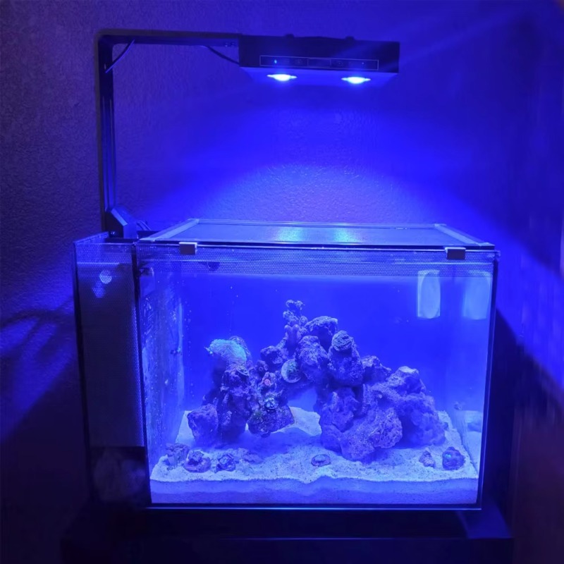 China Supplier Dimmable 95W Fu - Aquarium Fish Supplier บทวิจารณ์และราคา