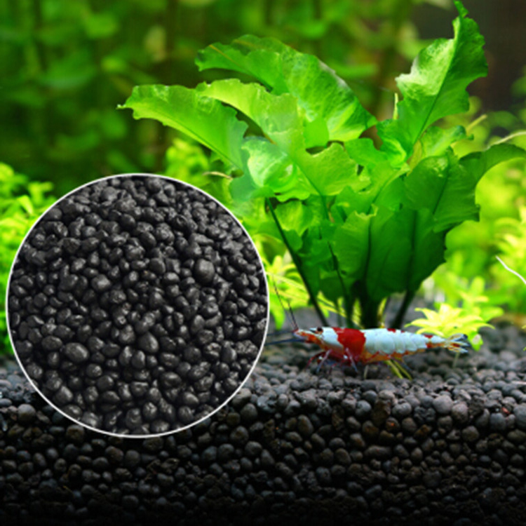 Aquarium Plant Seeds Soil Fish - Aquarium Fish Types บทวิจารณ์และราคา