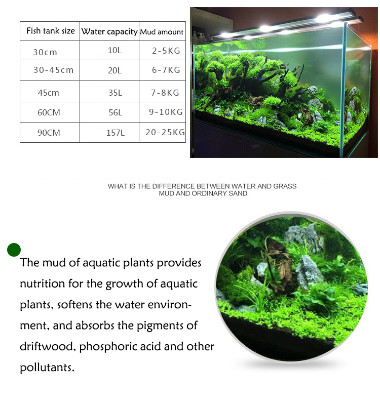Aquarium Plant Seeds Soil Fish - Aquarium Fish Types บทวิจารณ์และราคา
