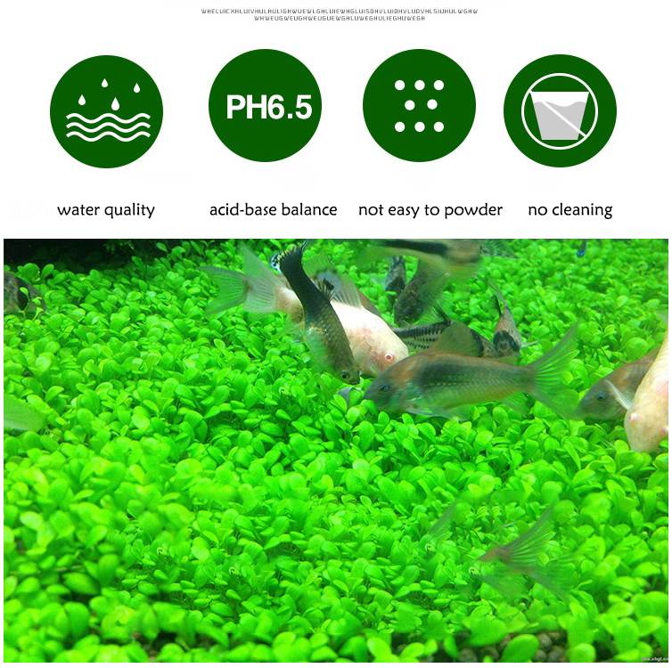 Aquarium Plant Seeds Soil Fish - Aquarium Fish Types บทวิจารณ์และราคา