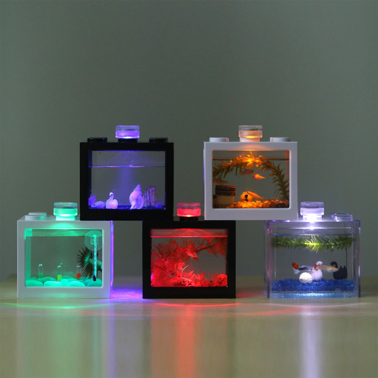 Plastic Betta Fish Tank  Aquar - Aquarium Fish Betta บทวิจารณ์และราคา