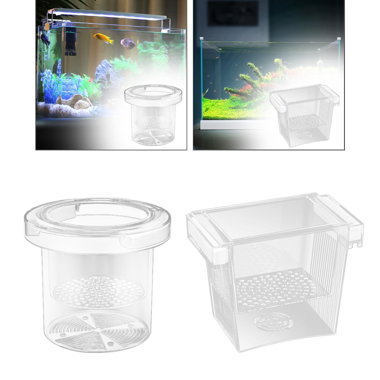 Fish Breeding Box Aquarium Acc - Aquarium Fish Betta บทวิจารณ์และราคา