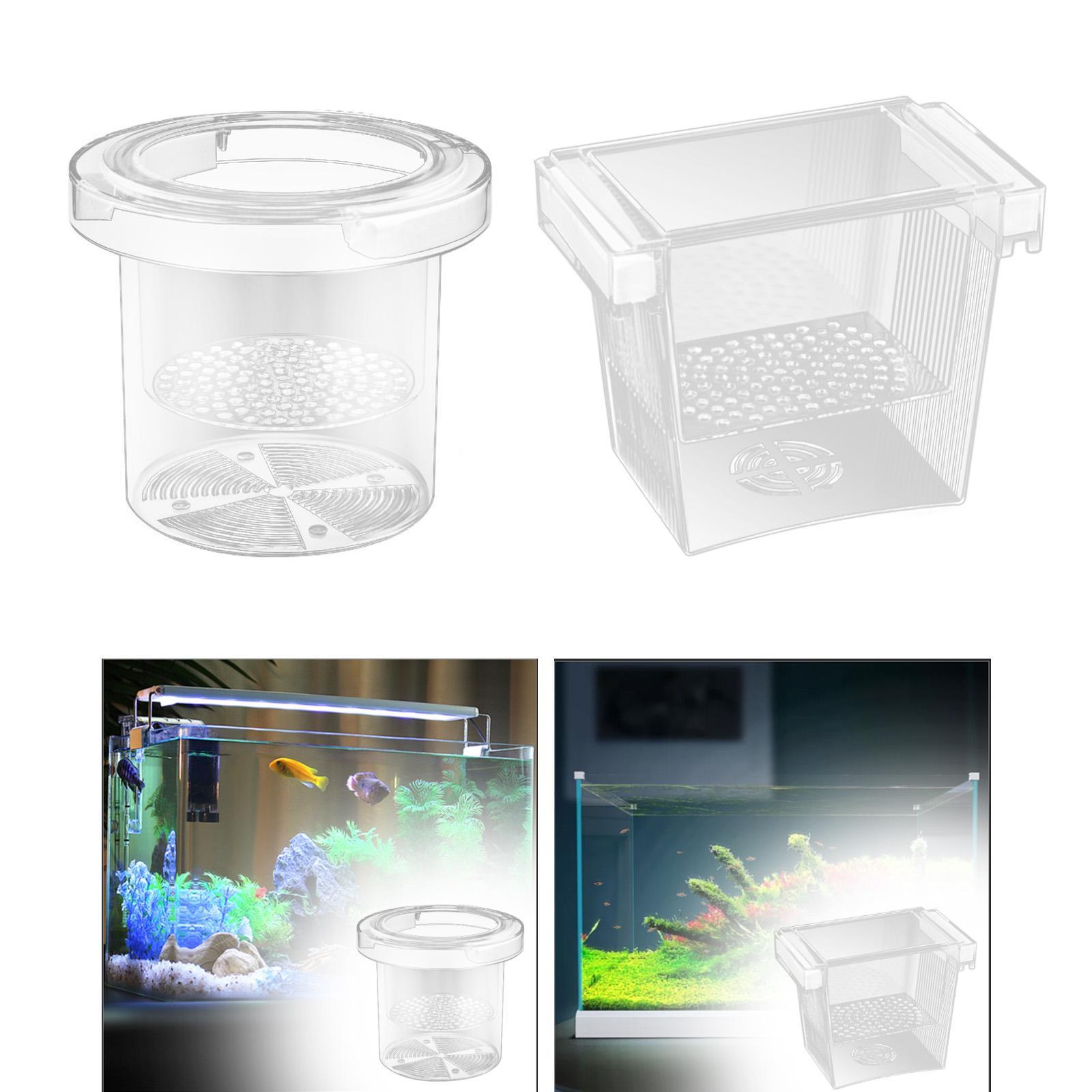 Fish Breeding Box Aquarium Acc - Aquarium Fish Betta บทวิจารณ์และราคา