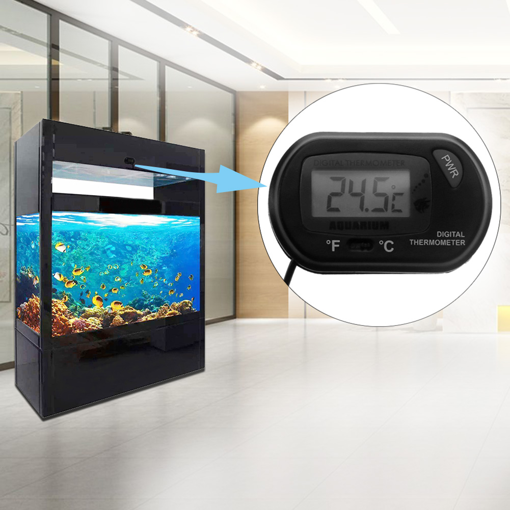 Aquarium Thermometer Suction C - Aquarium Thermometer บทวิจารณ์และราคา