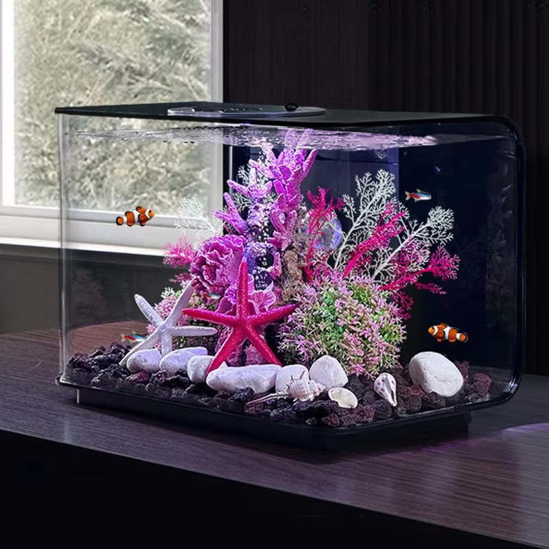 Aquarium Living Room Small Fis - Aquarium Fish Supplier บทวิจารณ์และราคา