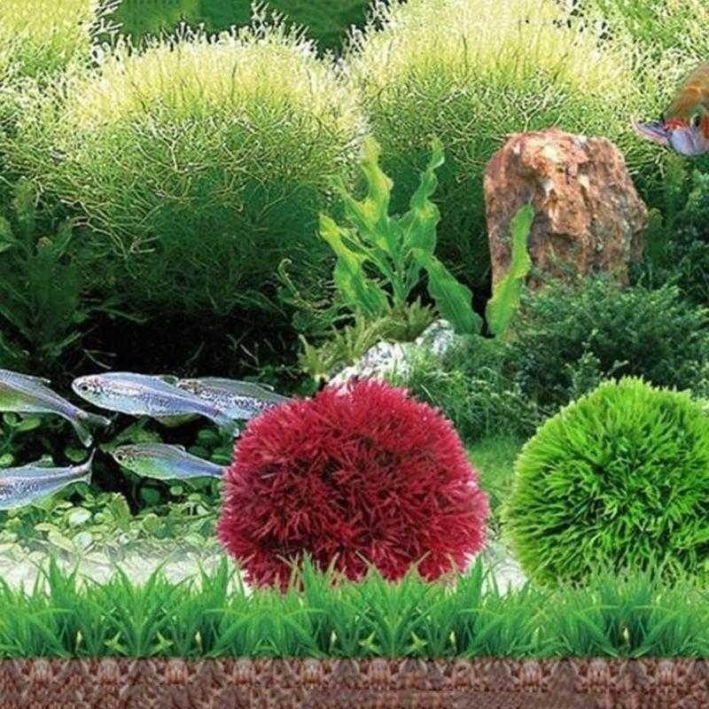 2026 Artificial Aquatic Plasti - Aquarium Fish Ball บทวิจารณ์และราคา