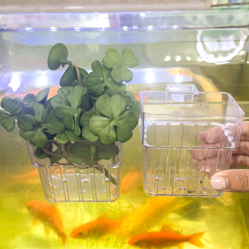 1/5pcs Aquarium Decoration Pla - Aquarium Fish Types บทวิจารณ์และราคา