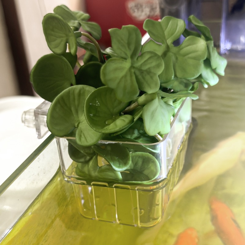 1/5pcs Aquarium Decoration Pla - Aquarium Fish Types บทวิจารณ์และราคา