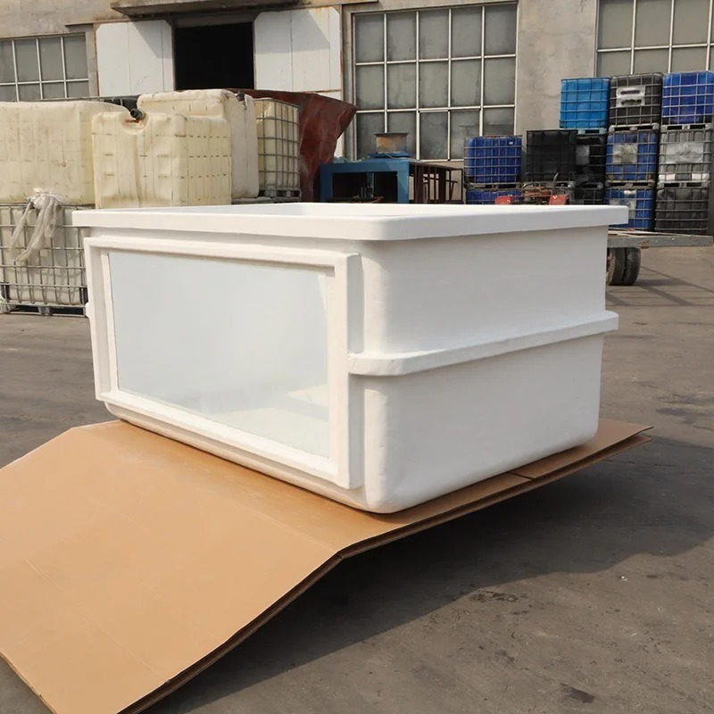 FISH Cheap Sale Supplier High  - Aquarium Fish Supplier บทวิจารณ์และราคา