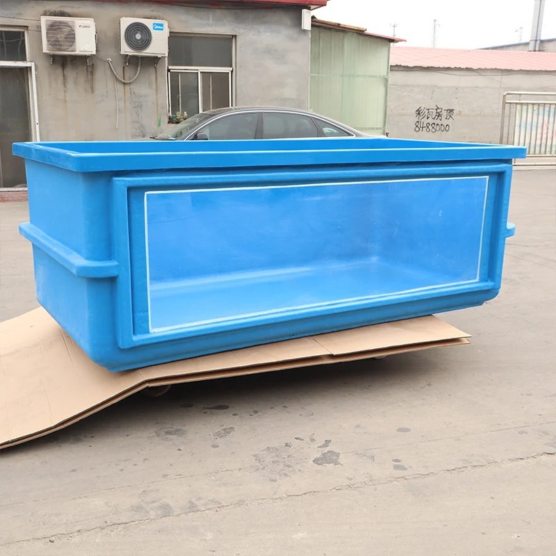 FISH Cheap Sale Supplier High  - Aquarium Fish Supplier บทวิจารณ์และราคา