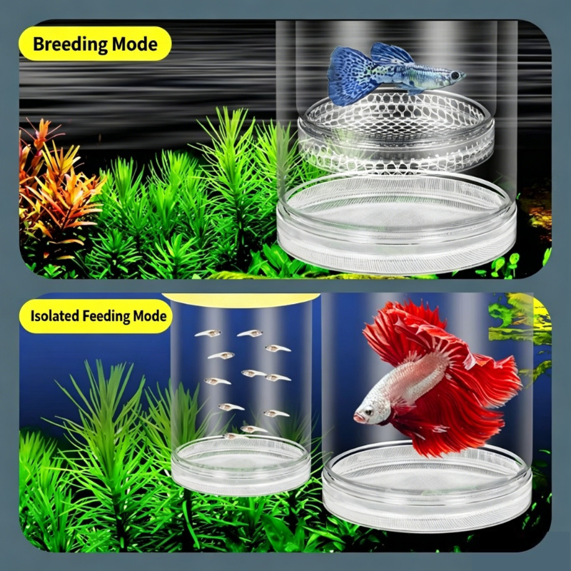 Transparent Floating Aquarium  - Aquarium Fish Betta บทวิจารณ์และราคา