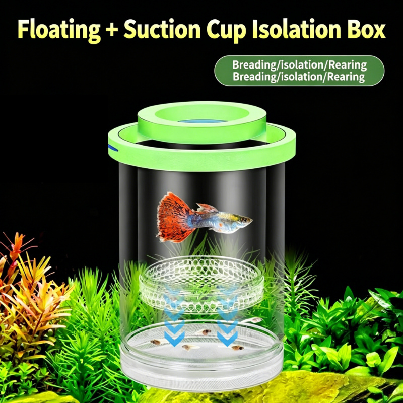 Transparent Floating Aquarium  - Aquarium Fish Betta บทวิจารณ์และราคา