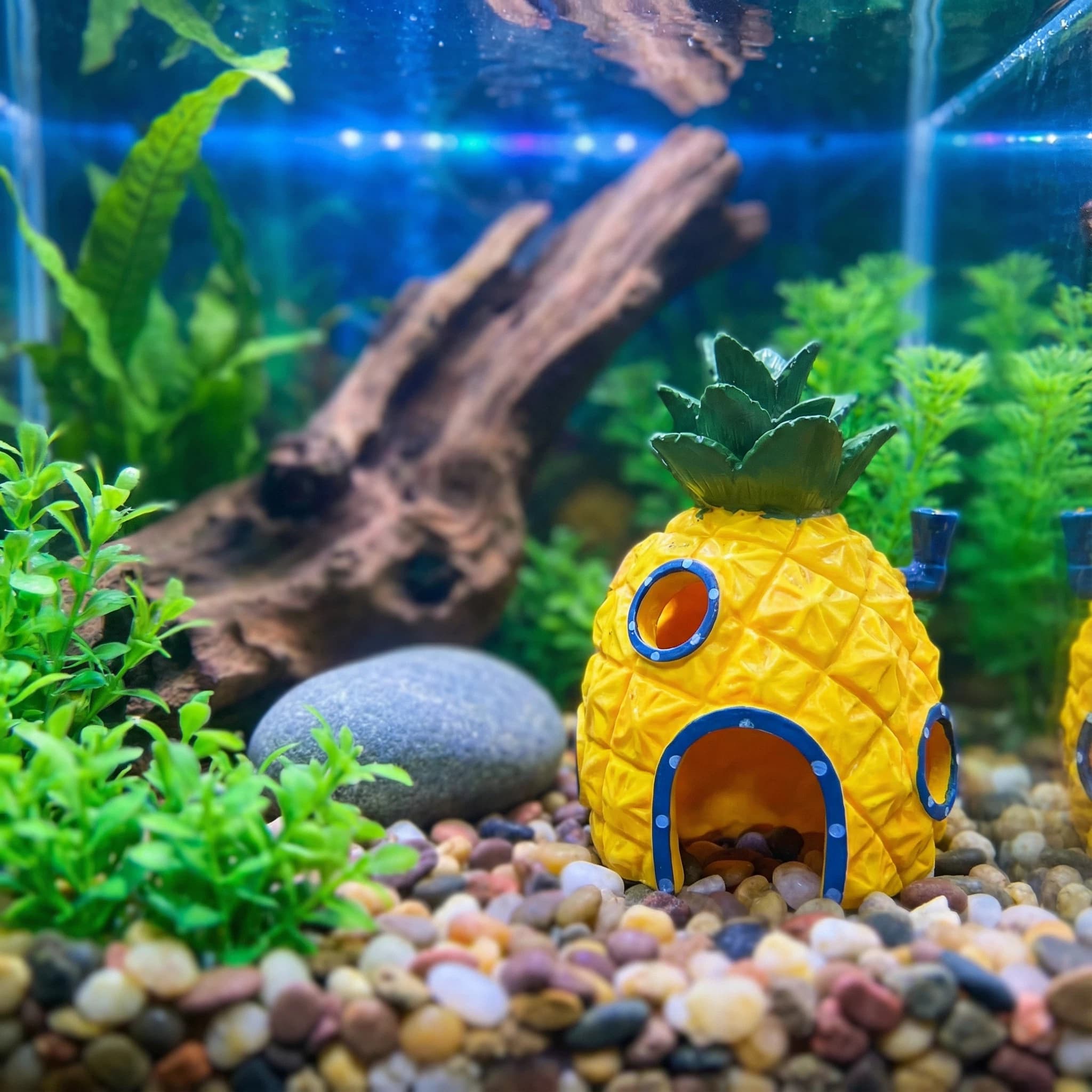 Pineapple House Aquarium Decor - Aquarium Fish Hideout บทวิจารณ์และราคา