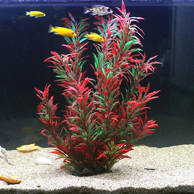 50CM Artificial Fish Tank Rare - Aquarium Fish Types บทวิจารณ์และราคา