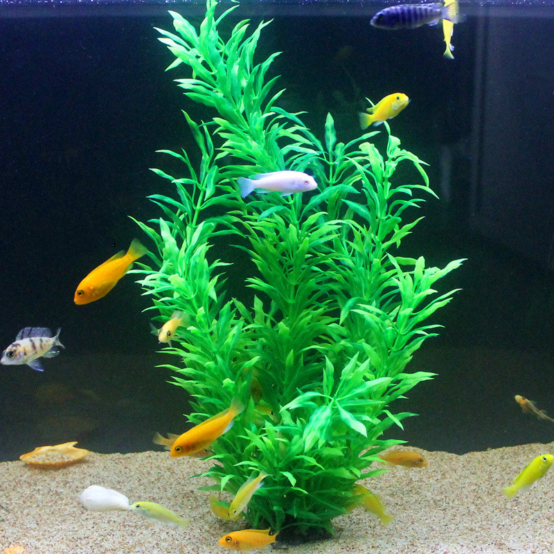 50CM Artificial Fish Tank Rare - Aquarium Fish Types บทวิจารณ์และราคา