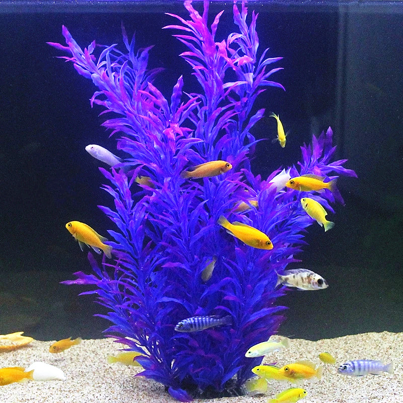 50CM Artificial Fish Tank Rare - Aquarium Fish Types บทวิจารณ์และราคา