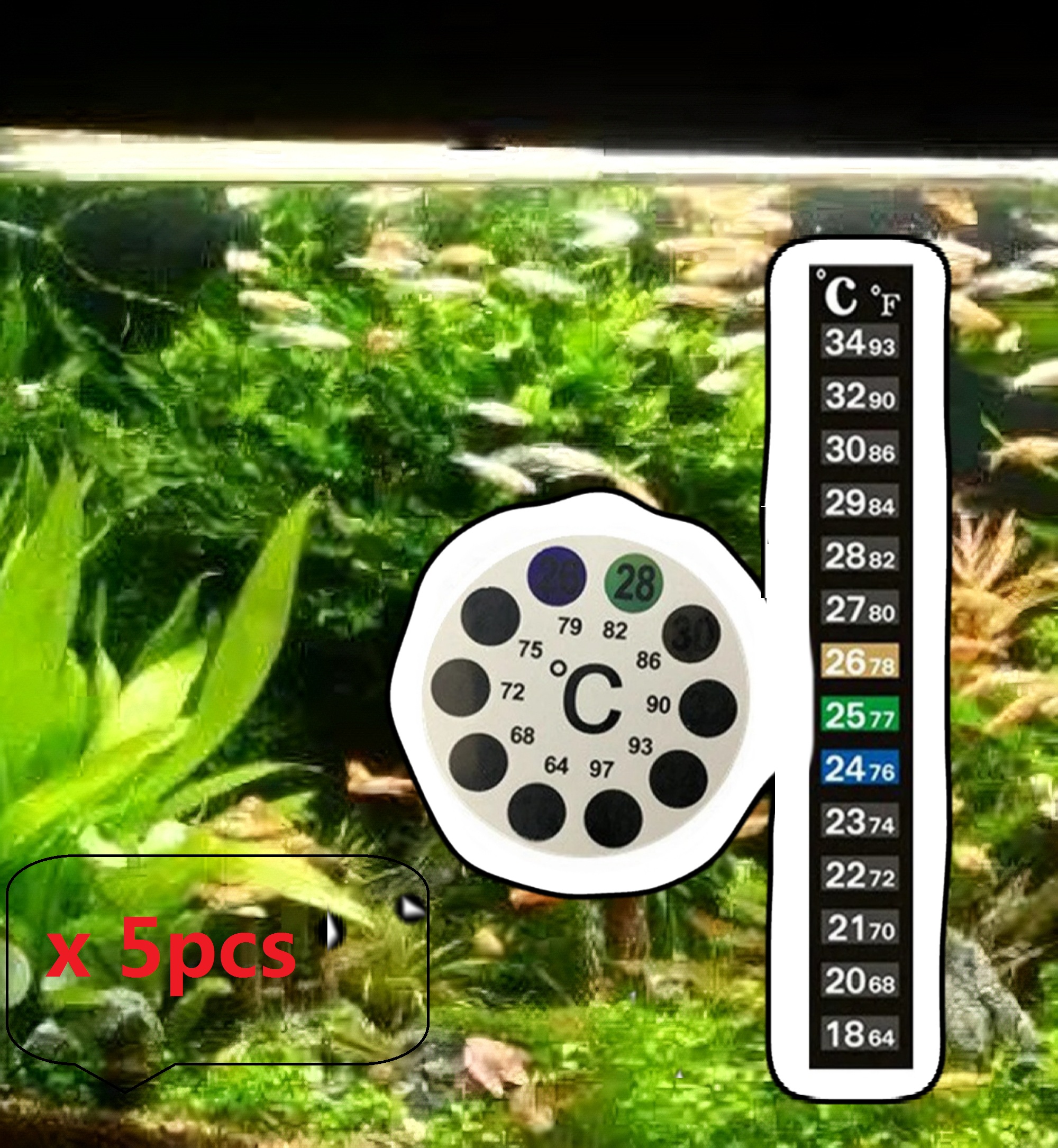 5Pcs Home Aquarium Fish Tank C - Aquarium Fish Black บทวิจารณ์และราคา