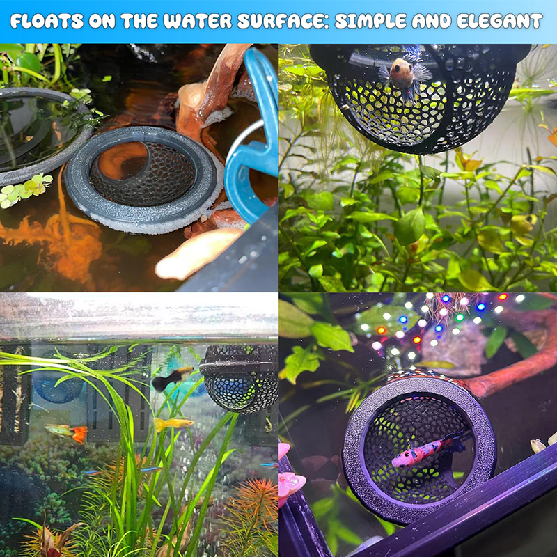 Ring FLoatinG Betta Hide Shrim - Aquarium Fish Hide บทวิจารณ์และราคา