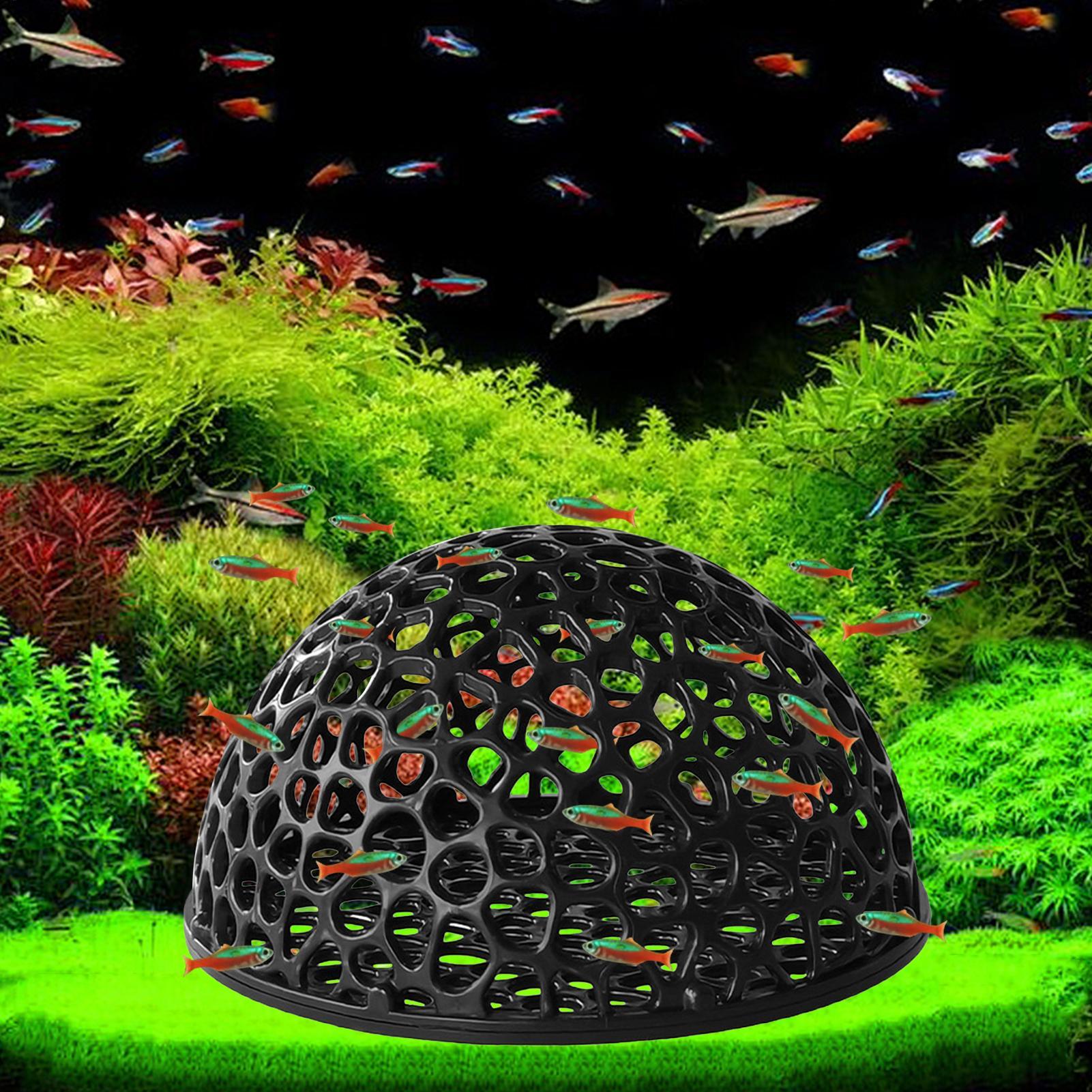 Aquarium shrimp house Cave Min - Aquarium Fish Hideout บทวิจารณ์และราคา