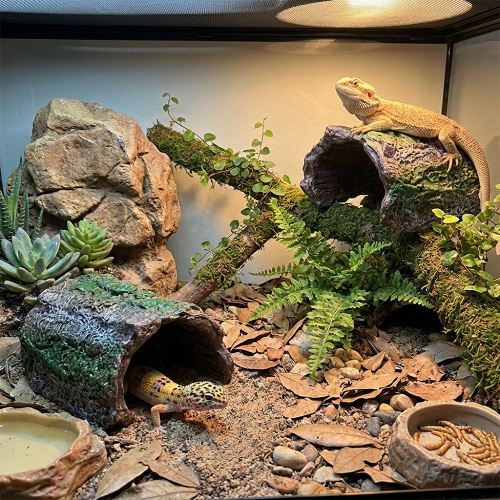 Simulation Reptile Hideout Hol - Aquarium Fish Hide บทวิจารณ์และราคา