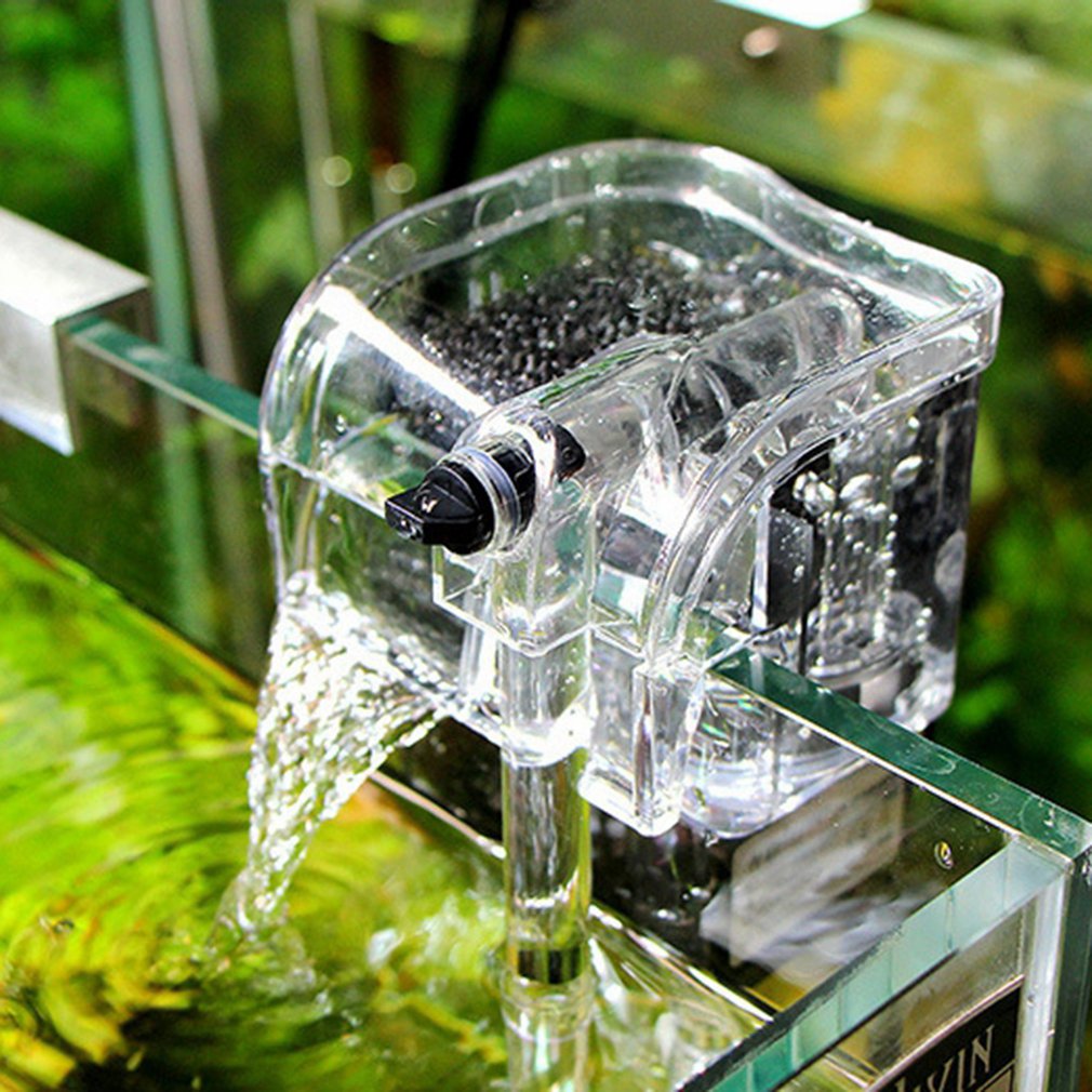 Performance Hang-On The Back P - Aquarium Fish Betta บทวิจารณ์และราคา
