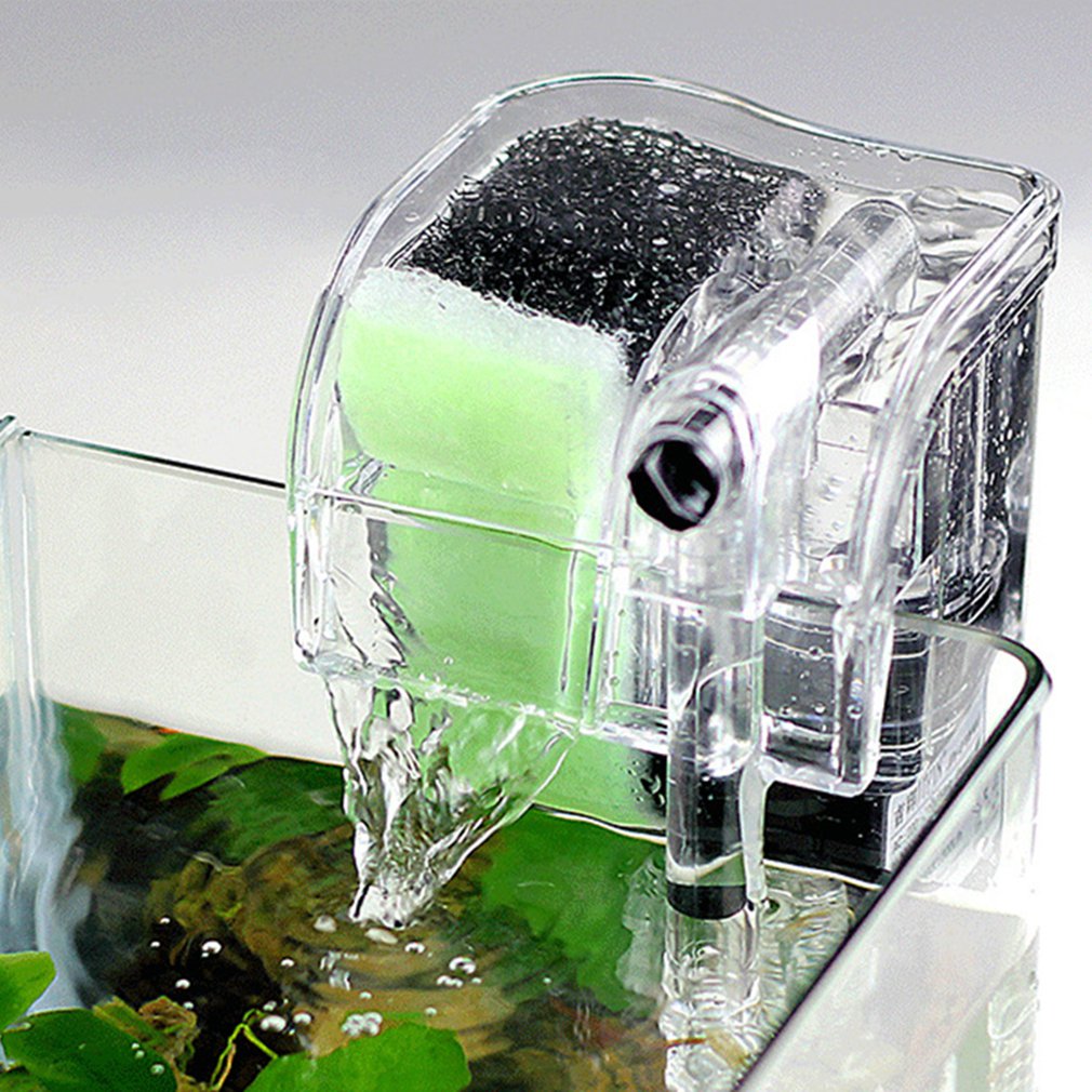 Performance Hang-On The Back P - Aquarium Fish Betta บทวิจารณ์และราคา